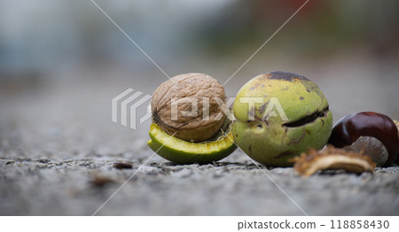 Closeup of various nuts and seeds on a textured surface in natural light for autumn harvest concept 118858430
