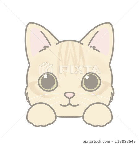 Illustration of a short-haired cat: Munchkin Illustration of a short-haired cat: Munchkin 118858642
