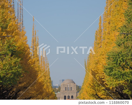 Meiji Shrine Outer Garden Ginkgo Tree Line and the Shotoku Memorial Art Gallery Meiji Shrine Outer Garden Ginkgo Tree Line and the Shotoku Memorial Art Gallery 118860070