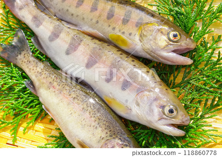 看起來很美味的山女 118860778