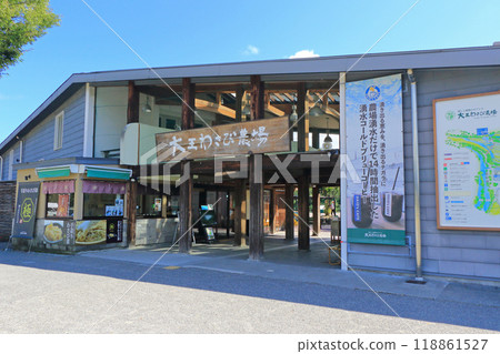 Azumino king wasabi farm 118861527