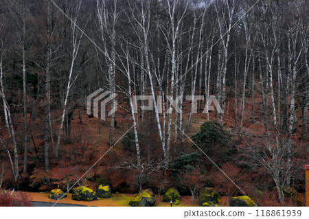 Winter grove 118861939
