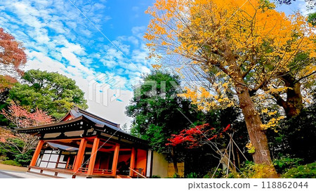 Asagaya Shinmei Shrine, Asagaya Kita, Suginami Ward, Tokyo 118862044