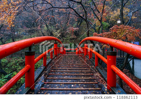深秋伊香保溫泉川花橋的紅葉（群馬縣澀川市） 118862113