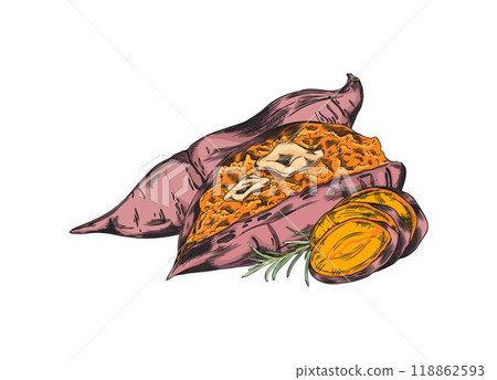 Sweet potato piece and puree dish vector color sketch, hand drawn orange ripe yam with rosemary, farm vegetable menu 118862593