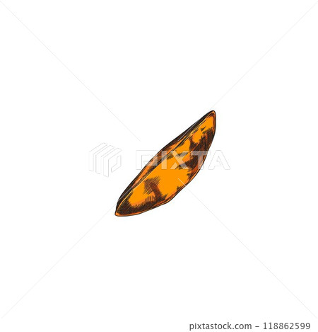 A piece of fried sweet potato hand drawn in graphic style, Vector illustration. 118862599