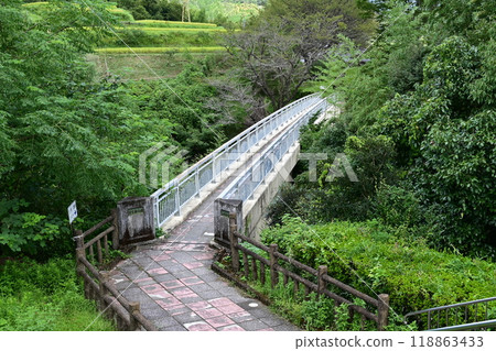 Bridge over the valley 118863433