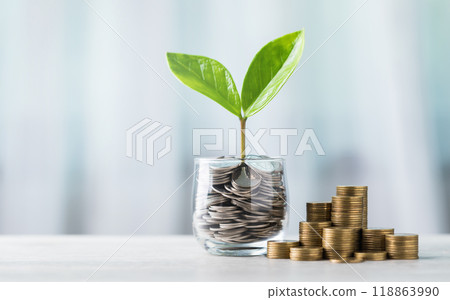 Glass jar filled with coins and a small seedling in the center, with stacks of coins arranged from smallest to largest on a table. Highlights the concept of saving and financial growth 118863990