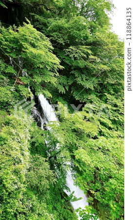 涅槃瀑布(栃木縣日光市) 涅槃瀑布(栃木縣日光市) 118864135