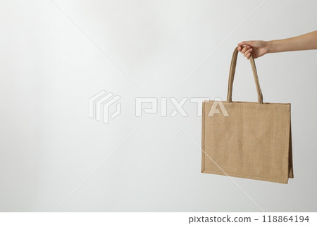 Bag in hand on a white background 118864194