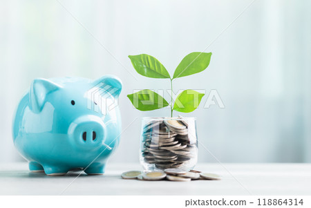 A blue piggy bank and a jar of coins with a small seedling growing in the center sit on a table against a bright white background. The image symbolizes saving and financial growth for the future. 118864314
