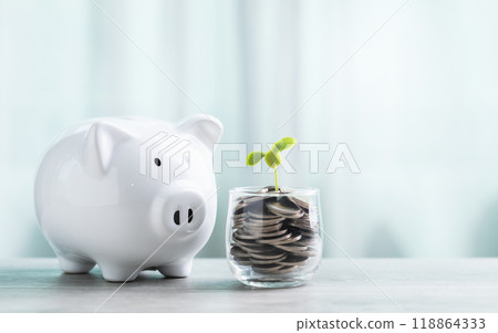 A white piggy bank and a jar of coins with a small seedling growing in the center sit on a table against a bright white background. The image symbolizes saving and financial growth for the future. 118864333