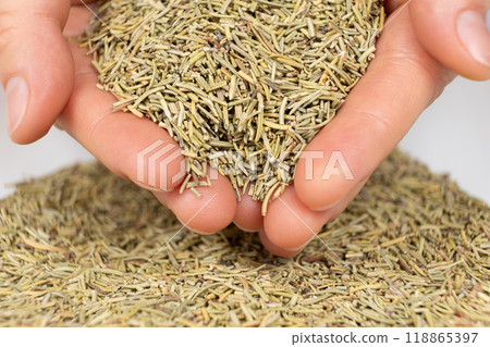 Seasoning dried rosemary in human hands, handful of chopped rosemary close-up 118865397