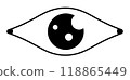 The eye with the glare 118865449