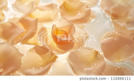 White rose petals 118866111