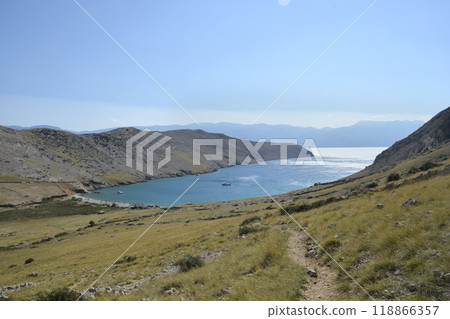 Bay Vela Luka 118866357