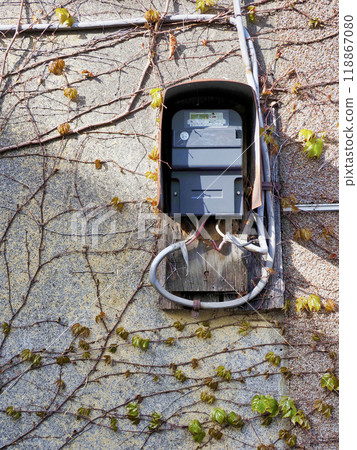 Electric meter 118867080