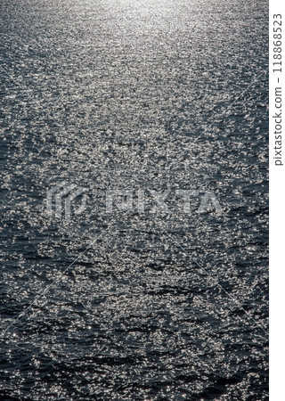 Sparkling Sea (Pacific Ocean/Kumano Sea) 118868523