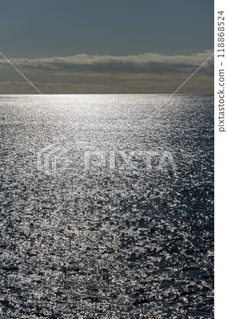 Sparkling Sea (Pacific Ocean/Kumano Sea) 118868524