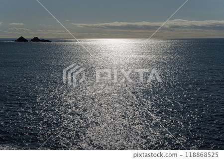 Sparkling Sea (Pacific Ocean/Kumano Sea) 118868525