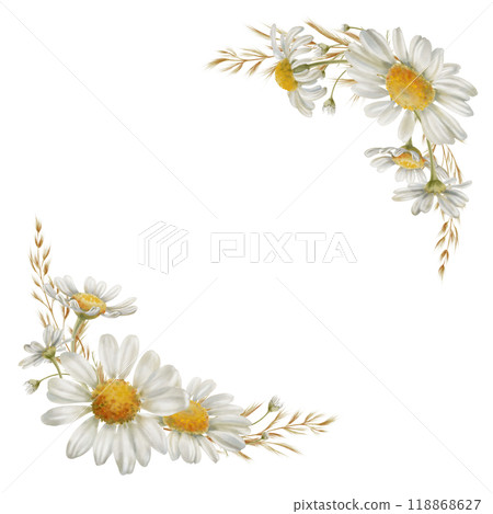 Corner frame from white daisies flowers buds, dried flowers as a symbol of purity, innocence, love, fidelity. Watercolor clipart on transparent background for product design, postcards, calendar Corner frame from white daisies flowers buds, dried flowers as a symbol of purity, innocence, love, fidelity. Watercolor clipart on transparent background for product design, postcards, calendar 118868627