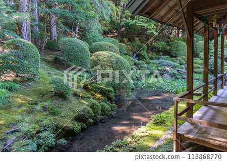 Kozenji Temple [Nationally designated scenic spot] The pond seen from the reception hall / Komagane City, Nagano Prefecture, September 118868770