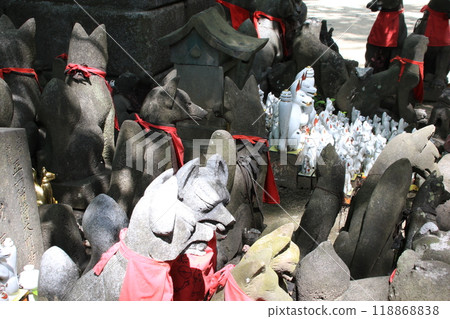 Many fox statues at Kasama Shrine in Ibaraki Prefecture Many fox statues at Kasama Shrine in Ibaraki Prefecture 118868838