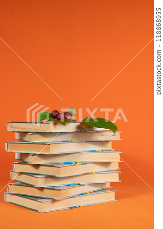 A neat stack of books decorated with decorative leaves and berries on an orange background 118868955