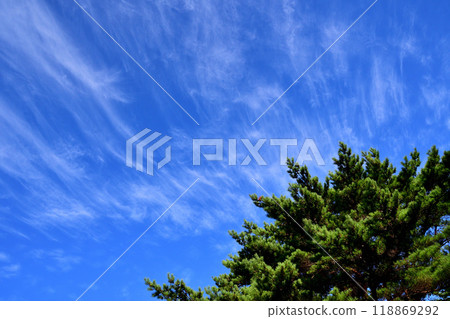 Blue sky and white clouds, autumn clouds Blue sky and white clouds, autumn clouds 118869292