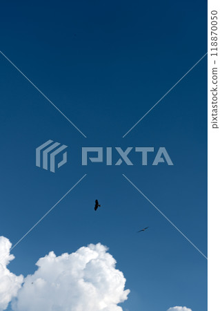複製雷雲和藍天的空間 複製雷雲和藍天的空間 118870050
