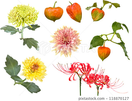 剪紙素材套裝-秋花4 118870127