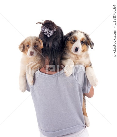 woman and puppy australian shepherd in studio woman and puppy australian shepherd in studio 118870164