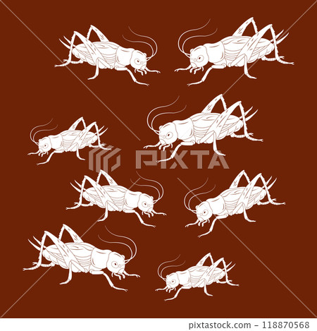Cricket vector icon 118870568