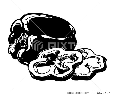 Vector illustration of ripe paprika. Whole vegetable and slices lie on the table. Black ink drawing. Engraving style sketch on white background. Culinary spice. Composition for label, packaging. 118870607