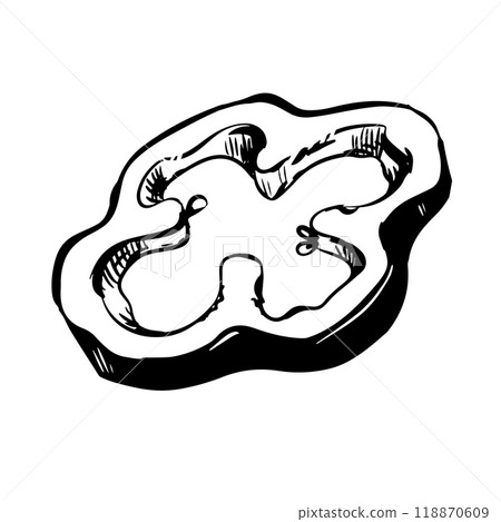 Vector illustration of a piece of ripe paprika. Black ink drawing of a slice of sweet pepper lies on the table. Engraving style sketch on a white background. Culinary Indian spice. 118870609
