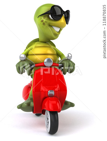 Fun turtle Fun turtle 118870835