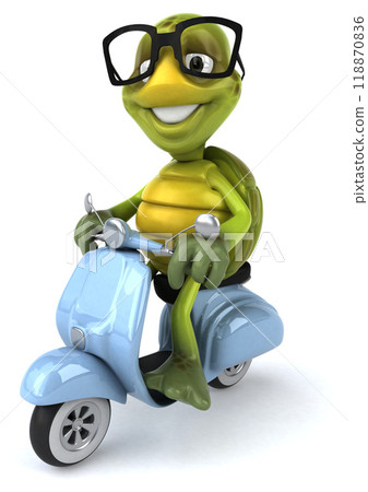 Fun turtle Fun turtle 118870836