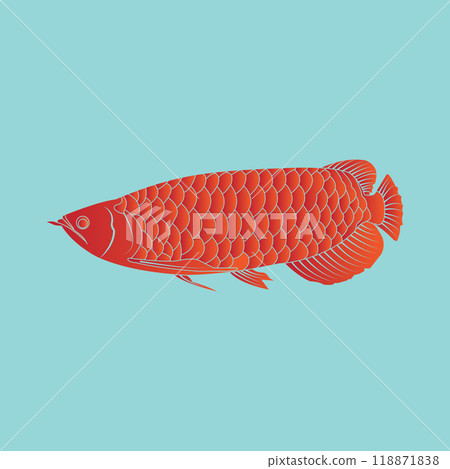 Arowana fish icon Arowana fish icon 118871838