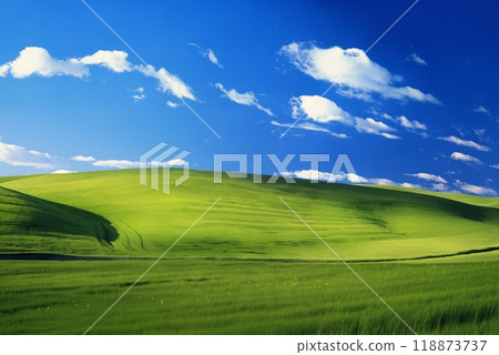 A beautiful summer or spring landscape with green grass on the hills and green fields. The blue sky is filled with white clouds and bright sunlight. Nature as a background. 118873737