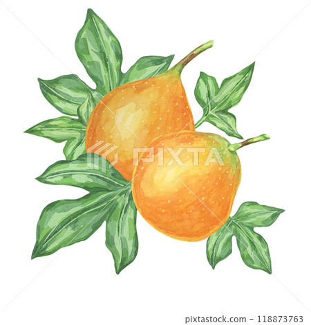 Sweet granadilla watercolor clipart presents two orange maracuja fruits with leaves. Illustration for designing food packaging, educational posters, and fruit-themed art projects Sweet granadilla watercolor clipart presents two orange maracuja fruits with leaves. Illustration for designing food packaging, educational posters, and fruit-themed art projects 118873763