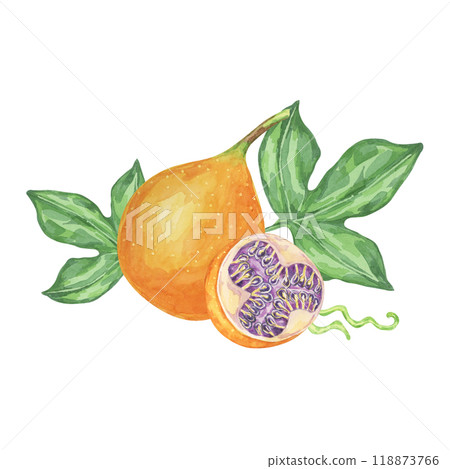 Sweet granadilla watercolor clipart depicting a single orange maracuja with lush green leaves and a cut-open fruit. Perfect for food packaging, recipe cards, and botanical-themed designs Sweet granadilla watercolor clipart depicting a single orange maracuja with lush green leaves and a cut-open fruit. Perfect for food packaging, recipe cards, and botanical-themed designs 118873766