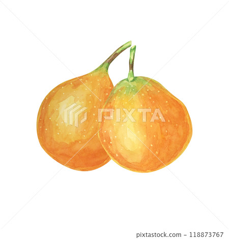 Sweet granadilla watercolor with two vibrant orange fruits. Ideal for use in digital designs, invitations and food-related merchandise, this clipart shows detailed green leaves and realistic textures Sweet granadilla watercolor with two vibrant orange fruits. Ideal for use in digital designs, invitations and food-related merchandise, this clipart shows detailed green leaves and realistic textures 118873767