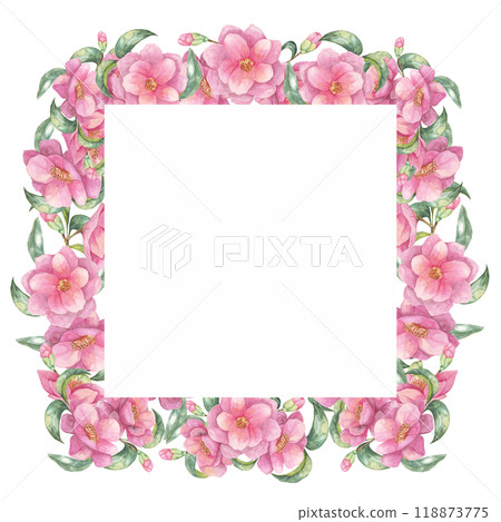 Camellia japonica watercolor clipart showcasing lush pink flowers surrounding a white square frame. This beautiful design is perfect for creating elegant cards, digital artwork, and personalized gifts 118873775