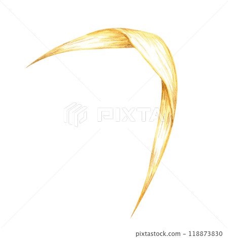 Single oat leaf, elegantly curved and rendered in soft golden hues. Watercolor clipart grass. Botanical illustration for natural product packaging, herbal supplement labels, and eco-friendly designs 118873830