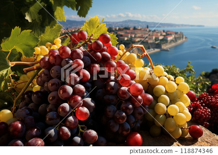 close-up of grapes on a terrace or balcony, in the distance the old town and the sea 118874346