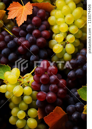 bunches of grapes closeup background, fresh and juicy, white and red, with leaves, concept of fresh and healthy food 118874406