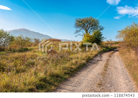 country road through the field uphill. autumn landscape in carpathian countryside of ukraine. sunny weather. pleasure for the journey 118874543