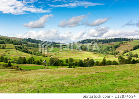 rural valley with village behind the field. early autumn green landscape. trees near the grassy pasture. arable on the distant hill. sunny day with fluffy clouds. remote region of ukraine rural valley with village behind the field. early autumn green landscape. trees near the grassy pasture. arable on the distant hill. sunny day with fluffy clouds. remote region of ukraine 118874554