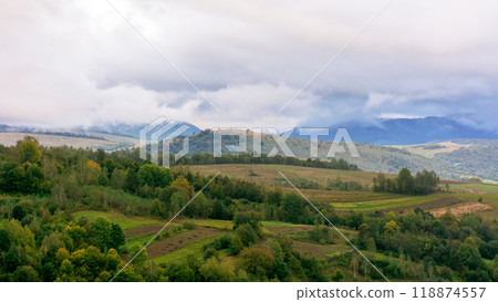 mountainous rural landscape on a rainy day in autumn. fields and trees on rolling hills beneath an overcast sky 118874557