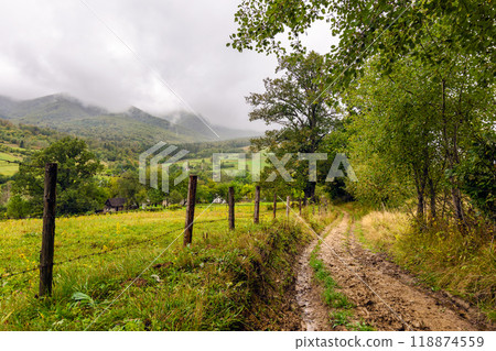 dirt road through rural landscape in autumn. rainy weather. mountainous carpathian countryside in fall season. overcast sky. provincial outskirts of ukraine 118874559